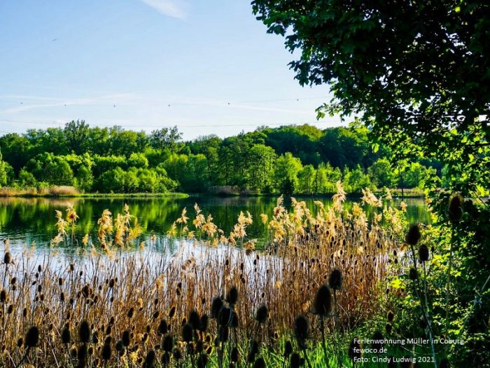 Goldbergsee in Coburg