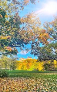 Der Fränkische Jakobsweg: Von Coburg nach Nürnberg wandern 3 Veste Coburg Wandern