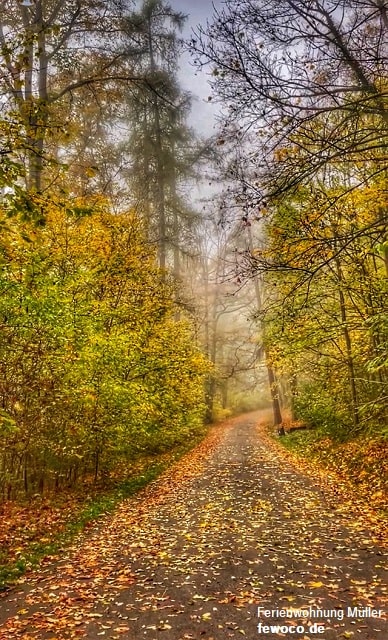 Kleiner Wanderweg von der Veste Coburg zurück in die Stadt