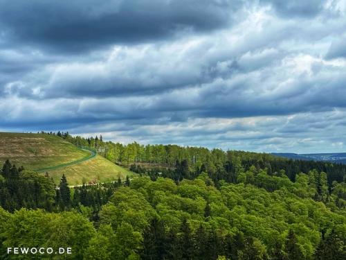 Goldisthal Pumpspeicherkraftwerk Ausblick Thüringer Wald Panorama