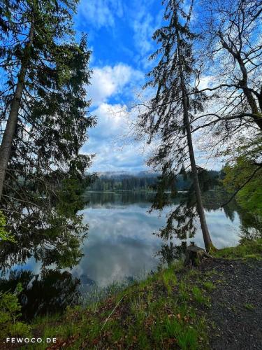 Talsperre Stausee Scheibe Alsbach / Neuhaus